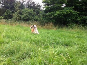 Sito-neu8 Jippiiiee.JPG