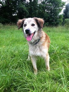 Sito-neu9 Leckercheeeeen.JPG