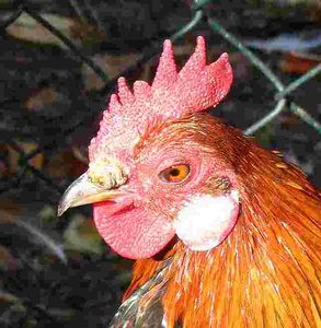 Ganz neu.jpg Ganz neu.jpg