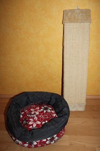 IMG_7222.JPG IMG_7222.JPG