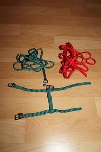 IMG_7223.JPG IMG_7223.JPG