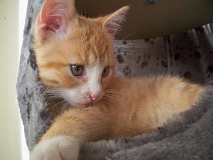 100_5552.JPG 100_5552.JPG