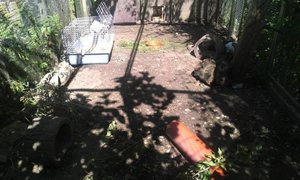 voliere seite hinten.jpg