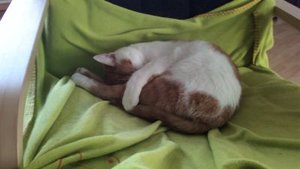 2012-04-16-653.jpg 2012-04-16-653.jpg