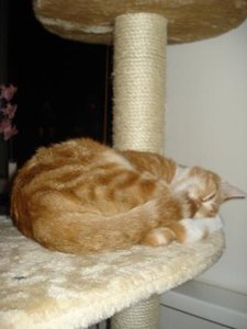 DSC04047.JPG DSC04047.JPG