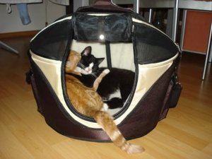 DSC04043.JPG DSC04043.JPG