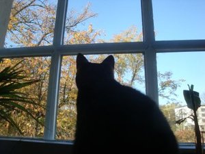 DSC06431.jpg DSC06431.jpg