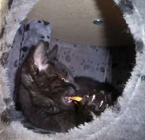 100_5610.JPG 100_5610.JPG