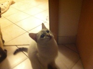 Mine mit großen Augen.JPG