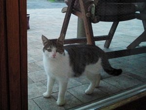 2012-10-25 18.10.36.jpg