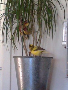 Photo-KHBYMYXG-D.jpg Photo-KHBYMYXG-D.jpg