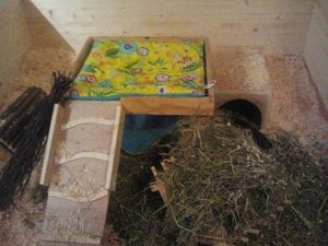 2012-10-24 21.24.10.jpg 2012-10-24 21.24.10.jpg