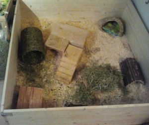 2012-10-29 17.30.54.jpg 2012-10-29 17.30.54.jpg