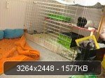 CIMG3042.jpg
