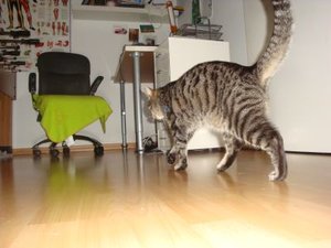 DSC06494.jpg DSC06494.jpg