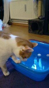 2012-04-09-334.jpg 2012-04-09-334.jpg