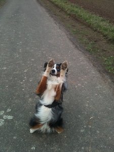 IMG_1689.JPG IMG_1689.JPG