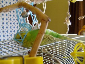 BilderJuli08 027.jpg