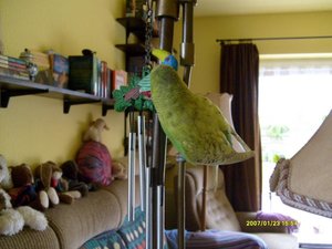 BilderJuli08 100.jpg