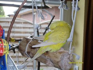 BilderJuli08 085.jpg