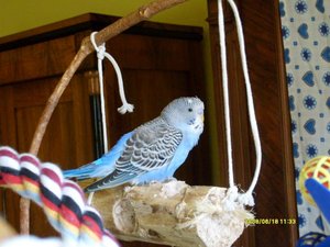 BilderJuni08 097.jpg