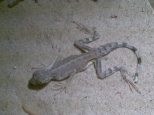 Frieters in Viersen!!!.jpg