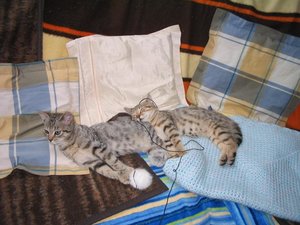 Rosi und Jacky 003.jpg