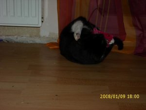 Videos und Bilder 025.jpg