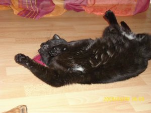 Videos und Bilder 034.jpg