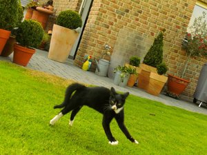 Kopie von BILD0861.jpg