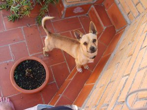 hochzeit bastian und kati 071.jpg