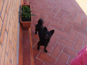 hochzeit bastian und kati 070.jpg