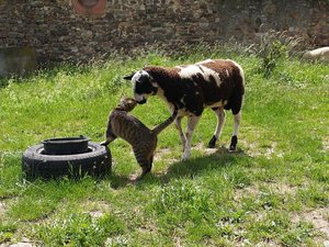 Casimo & Claudia.jpg Casimo & Claudia.jpg