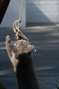 Mio 012.jpg Mio 012.jpg