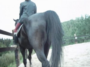 Westwind Chaos 009.JPG