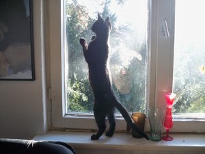 100_5738.JPG 100_5738.JPG