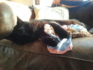 2012-03-26 17.09.33.jpg 2012-03-26 17.09.33.jpg