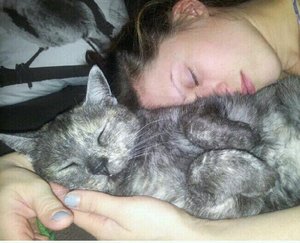 426214_482396615125763_1402872370_n.jpg 426214_482396615125763_1402872370_n.jpg