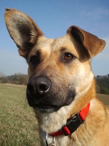 2012-03-14 14.35.55.jpg