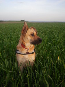 2012-04-28 19.43.46.jpg