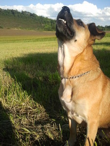 2012-07-07 19.28.40.jpg