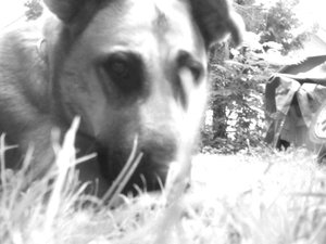 2012-08-01 20.50.11.jpg