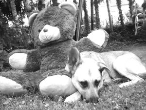 2012-08-02 20.54.30.jpg