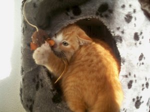 100_5546.JPG 100_5546.JPG