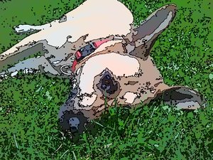 2012-08-01 20.46.33.jpg