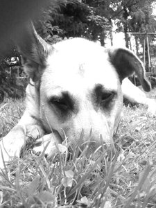 2012-08-01 20.49.47.jpg