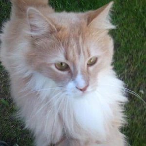 2012-04-20 18.26.04-1.jpg