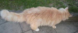 2012-04-20 18.26.16-1.jpg