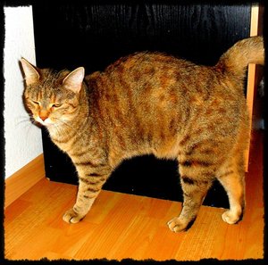 SDC10192.JPG SDC10192.JPG