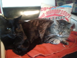 2012-02-26 12.59.07.jpg